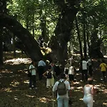 Bisanzio Rossano