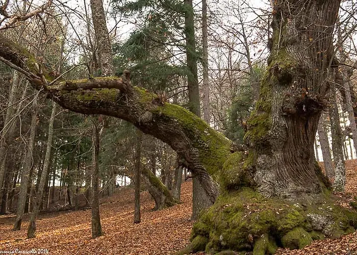 Hotel Bisanzio Rossano