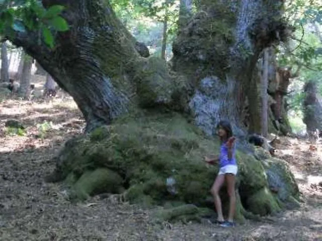 Hotel Bisanzio Rossano