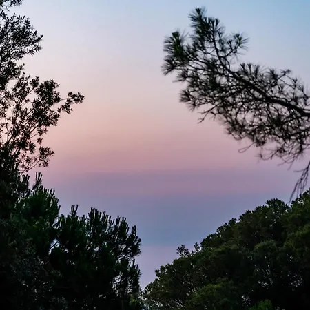 Bisanzio מלון 4*