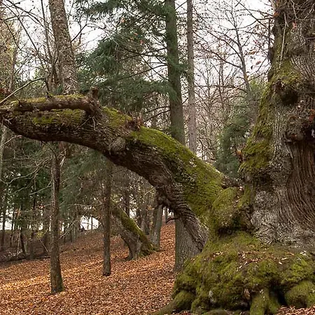 Hotel Bisanzio Rossano