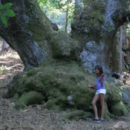 호텔 Bisanzio 로사노