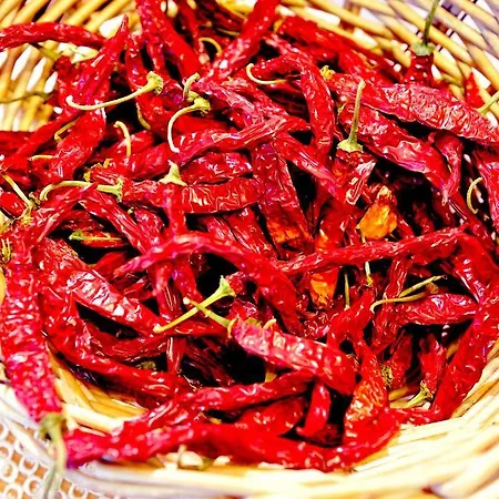 Bisanzio 호텔 로사노