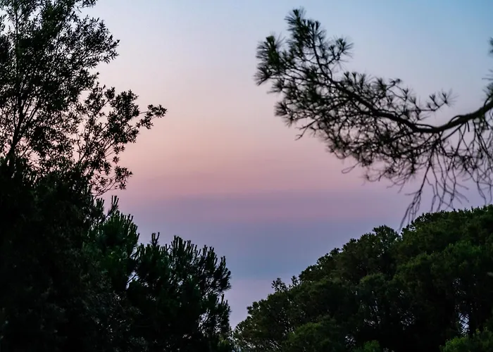 Bisanzio מלון 4*